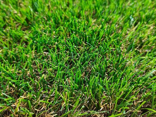 fake grass for patio Vivilawn C30313-9L8C8 (6)