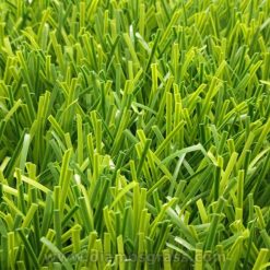 Multi-sports artificial grass Regalawn DX55B (2)