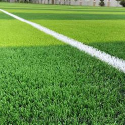 Multi-sports artificial grass Regalawn DX55B (4)