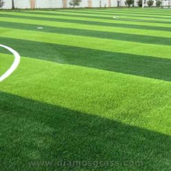 Multi-sports artificial grass Regalawn DX55B (5)