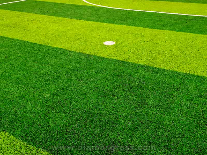 Football field grass Regalawn D60 (4)