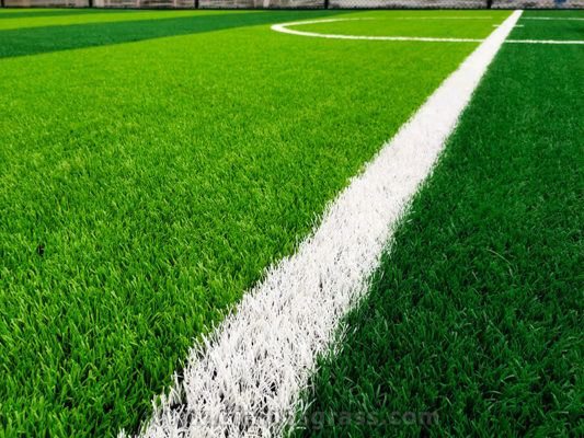 Futsal artificial grass Regalawn D50 (5)