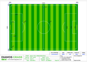 Diamos-Grass-Drawing-11-a-side-Soccer-100x68-2Tone-P1