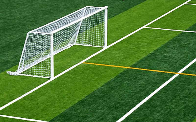 Diamos-Grass-Goal-and-Net-4